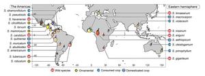 Solanum map