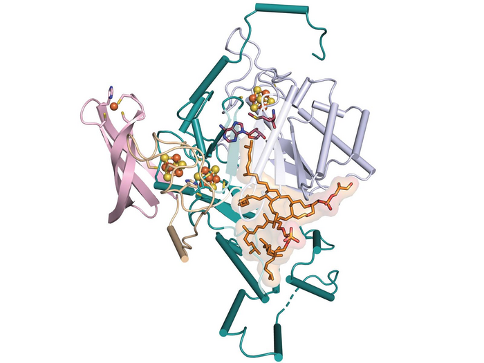 Molecule GDGT