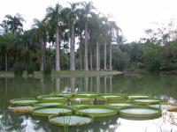 Xishuangbanna Tropical Botanical Garden