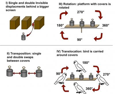 Schematic Presentation
