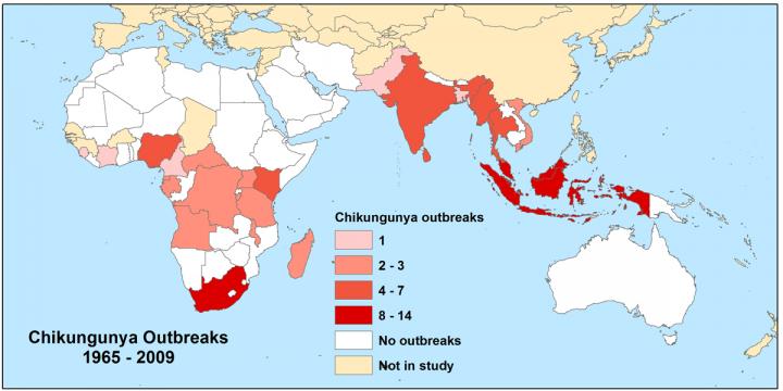 Chikungunya