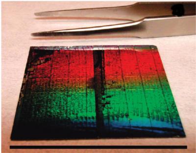 Silicon Nanowire Solar Cells
