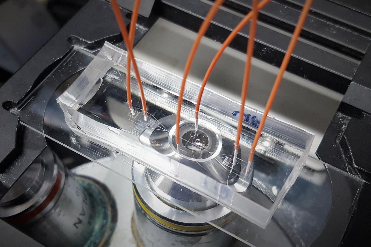 The Spiral Hydroporator