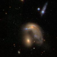 Galaxy Zoo: A Penguin-like Galaxy