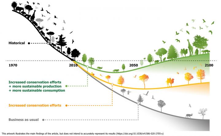 Curve bending graphic