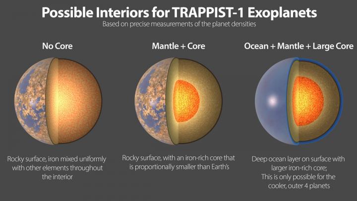 Possible Interiors of the TRAPPIST-1 Exoplanets