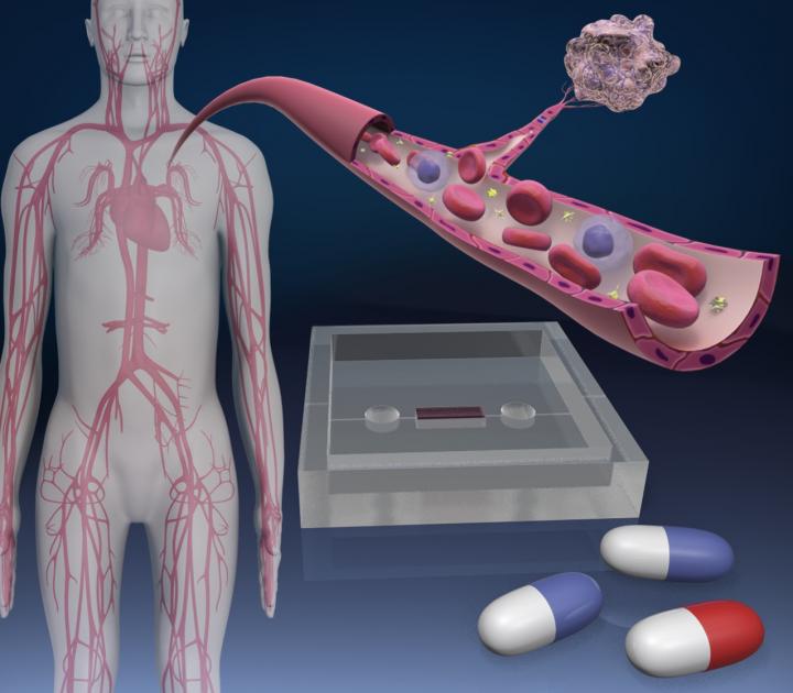 Blood Vessel-on-a-chips 2