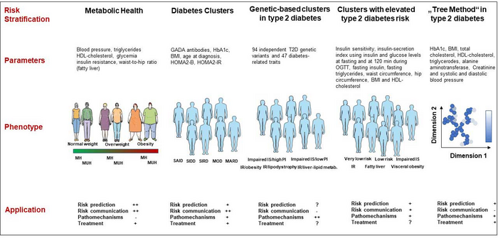 Metabolic Health and Cardiometabolic Risk Clusters Help to Remodel the Prediction and Therapy of Cardiometabolic Diseases