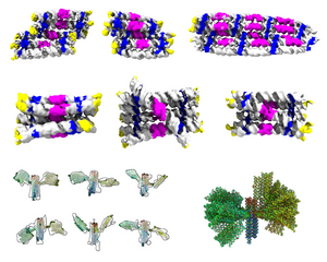 Gallery of the different RNA origami structures