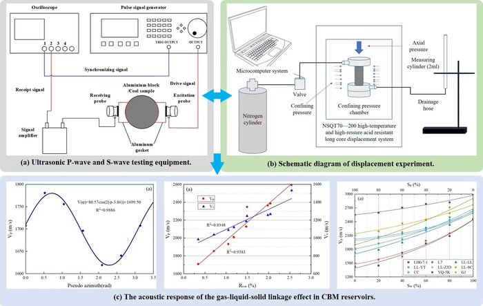 How are the physical characteristics of the coal-fluid system reflected in ultrasound?