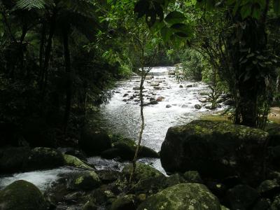 Looking to Brazil for Biodiversity Conservation (3 of 9)