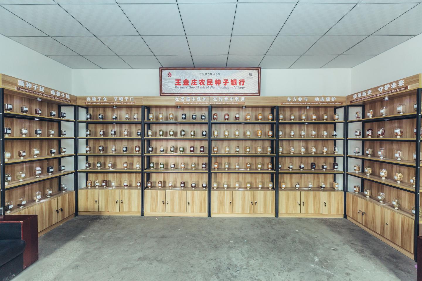 China's community seedbanks (2)