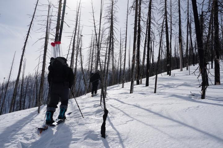 Forest Fires Accelerating Snowmelt across Western US, Study Finds (1 of 2)
