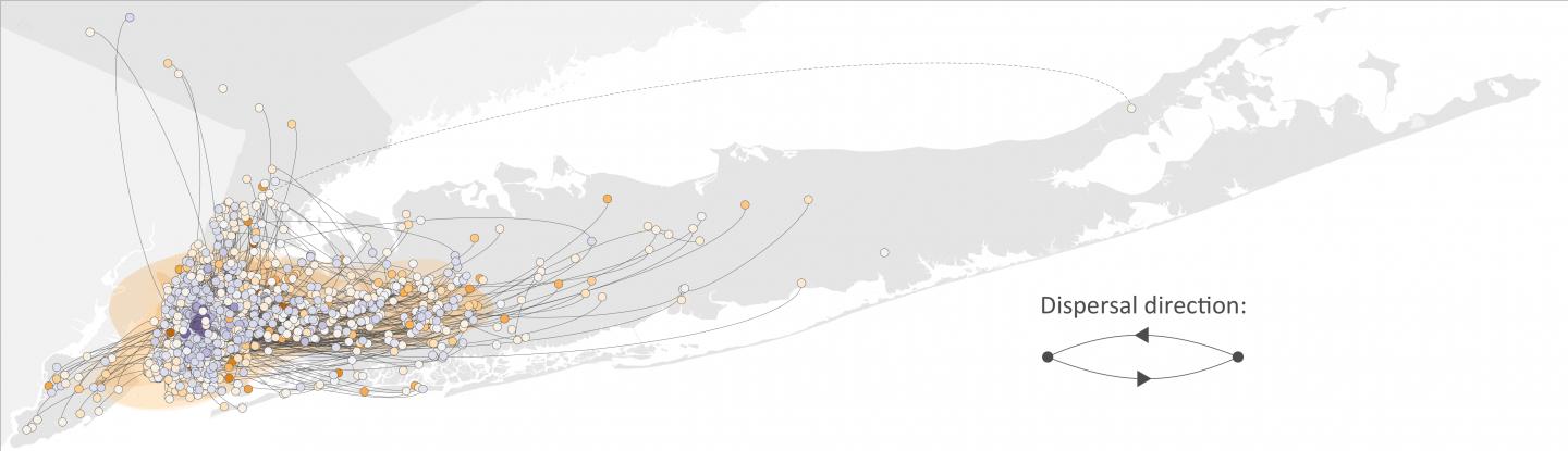 New Research Maps COVID-19 Dispersal Dynamics in New York's First Wave of Epidemic