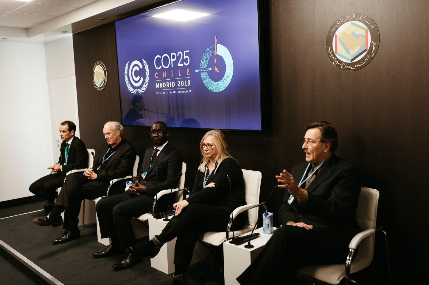 Scientists and Innovators Present the Circular Carbon Economy at COP25