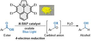 Multielectron reduction of esters photocatalyzed by N-BAP