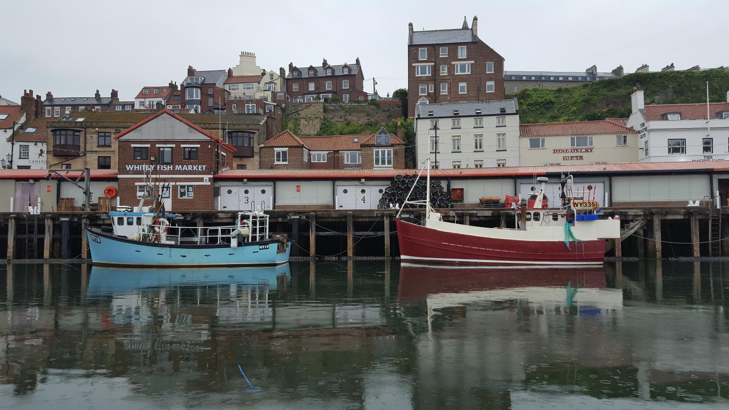 Fishing Boats