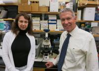 Olga Cherepanova and Gary K. Owens, University of Virginia School of Medicine