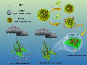 Researchers Achieve Efficient Nutrient Delivery to Crop Leaves through Nanomaterial Surface Roughness Engineering