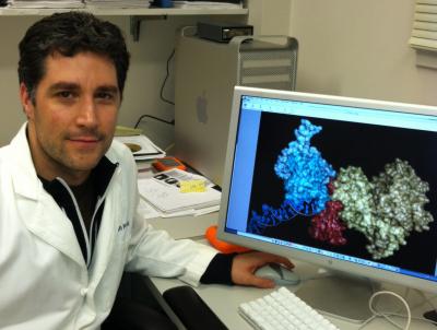 John M. Pascal, Thomas Jefferson University 