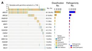 BGI Genomics Targetable Ovarian Cancer Variants RAD51D Found