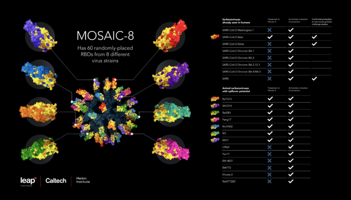 Infographic of Mosaic-8