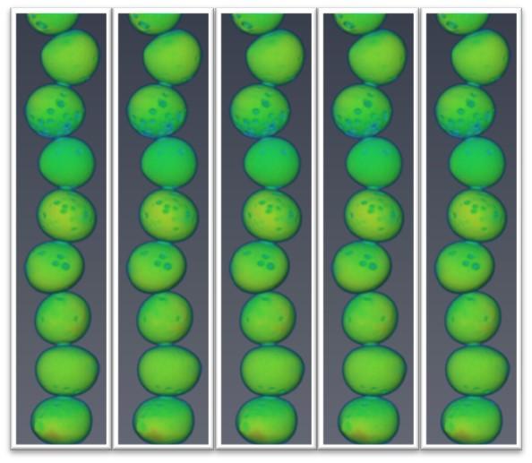 Nuclear -- Seeing Inside Particles