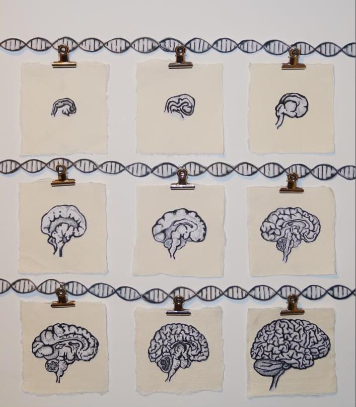 Artwork by Helen Spears