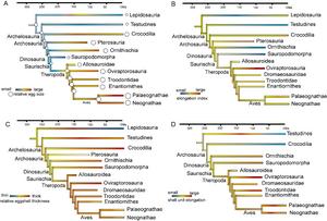 Diapsid reproduction evolution based on ancestral state reconstruction analyses.