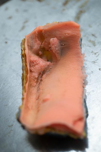 Silicone Peel of Teenage T. rex Puncture Marks