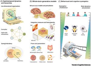 Figure of the Synergetic framework