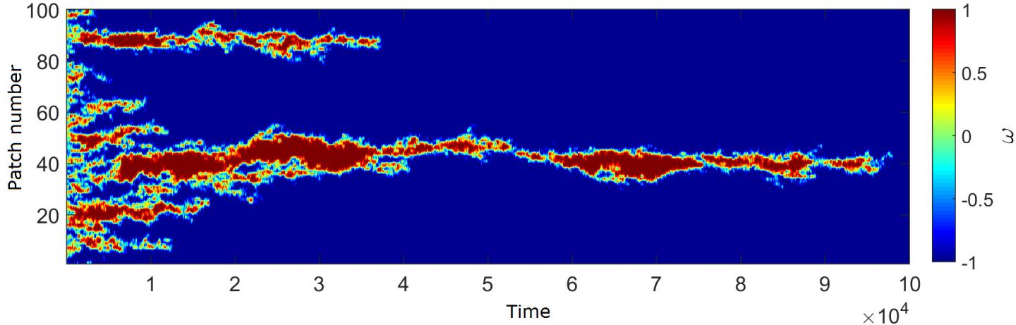 Homochirality Simulation