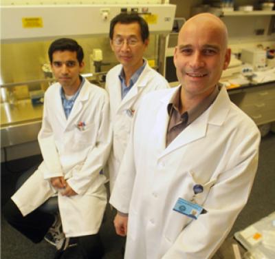 Lipid Plays Big Role in Embryonic Development