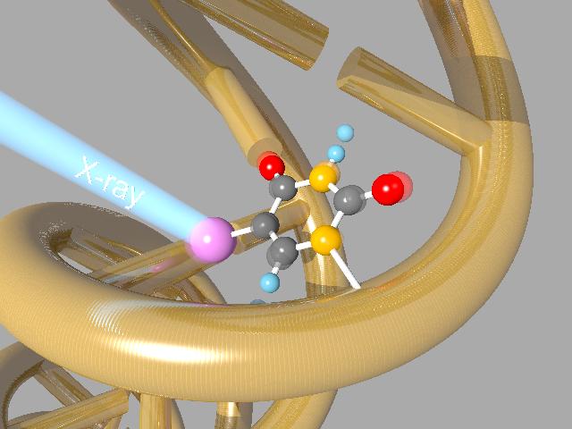 X-ray-Free Electron Laser Reveals Radiosensitizing Effects at Molecular Level