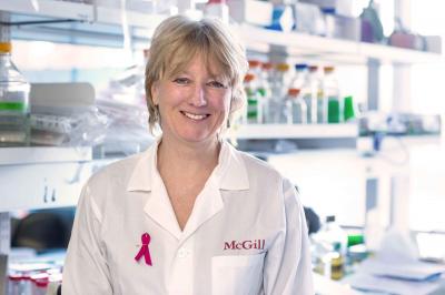 Dr. Morag Park, Research Institute of the McGill University Health Centre