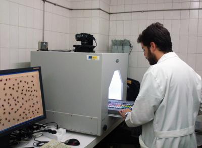 A Digital Portrait for Grapes Indicates Their Ripeness (1 of 2)