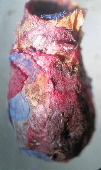 Nest of Petals (1 of 2)