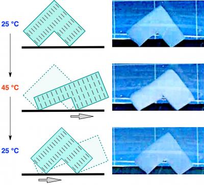 The Walking Hydrogel