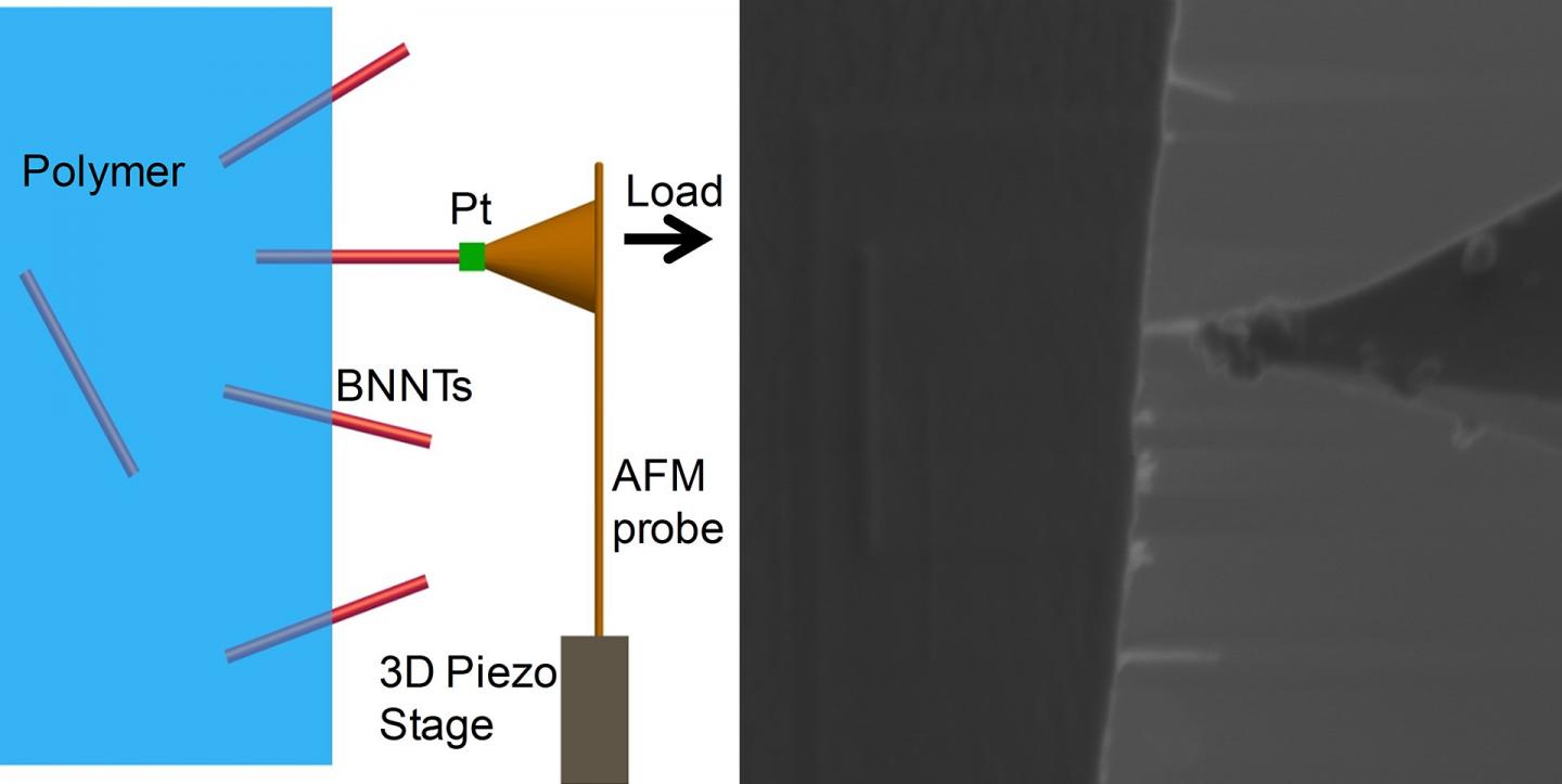 Plucking a BNNT from a Polymer by Welding a Cantilever to the Nanotube and Pulling