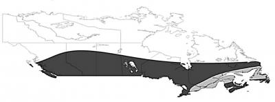 Results of 4th-Order Global Polynomial Interpolation