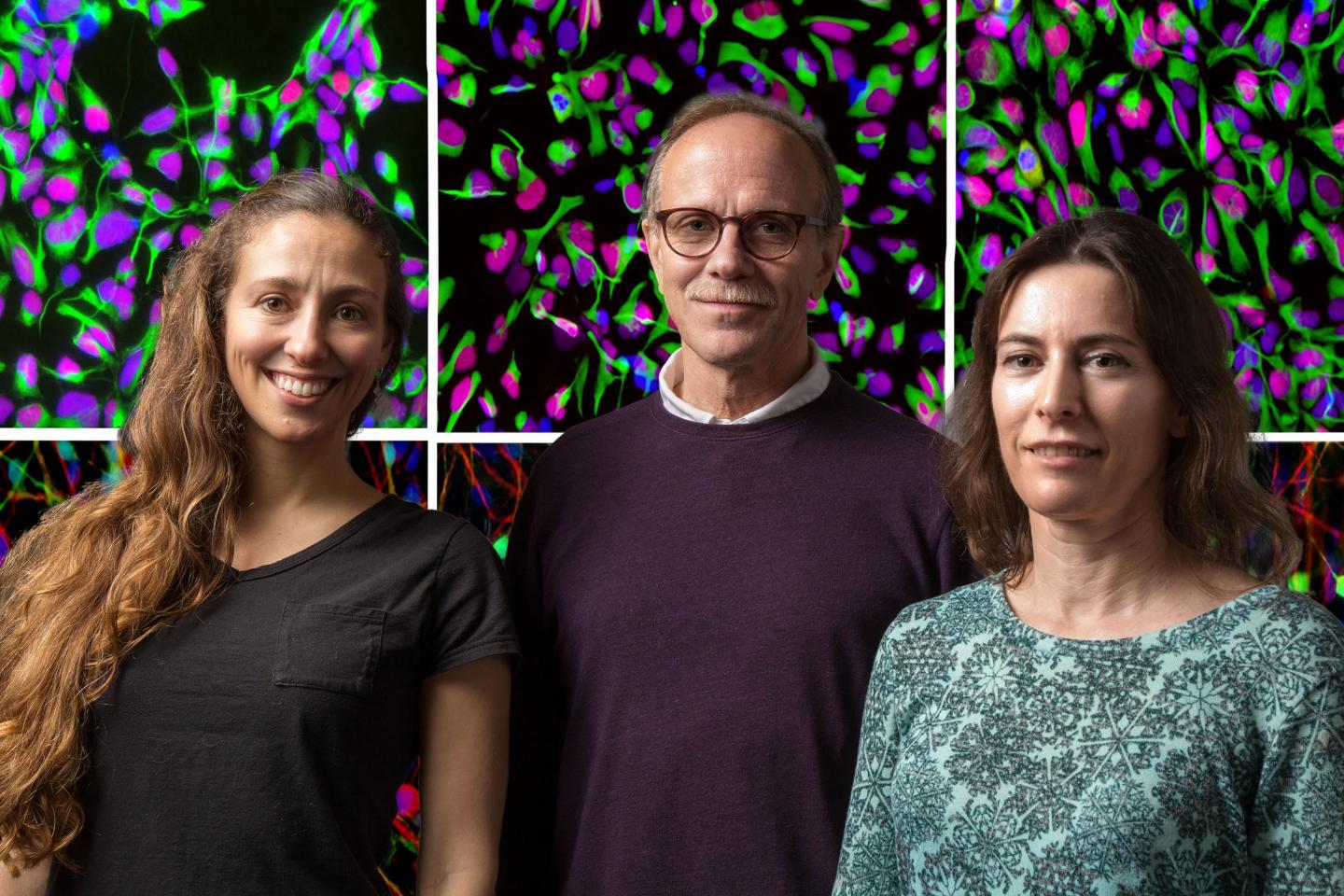 Carol Marchetto, Rusty Gage, Shani Stern, Salk Institute