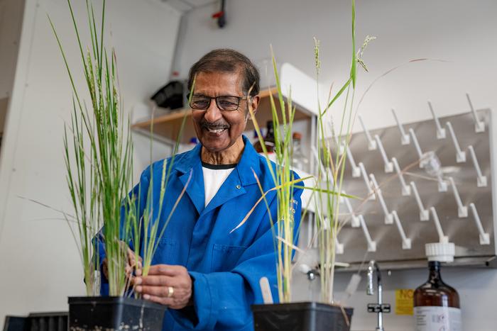 Plant Biologist Awarded Wolf Prize in Agriculture