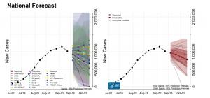 COVID Forecast Models