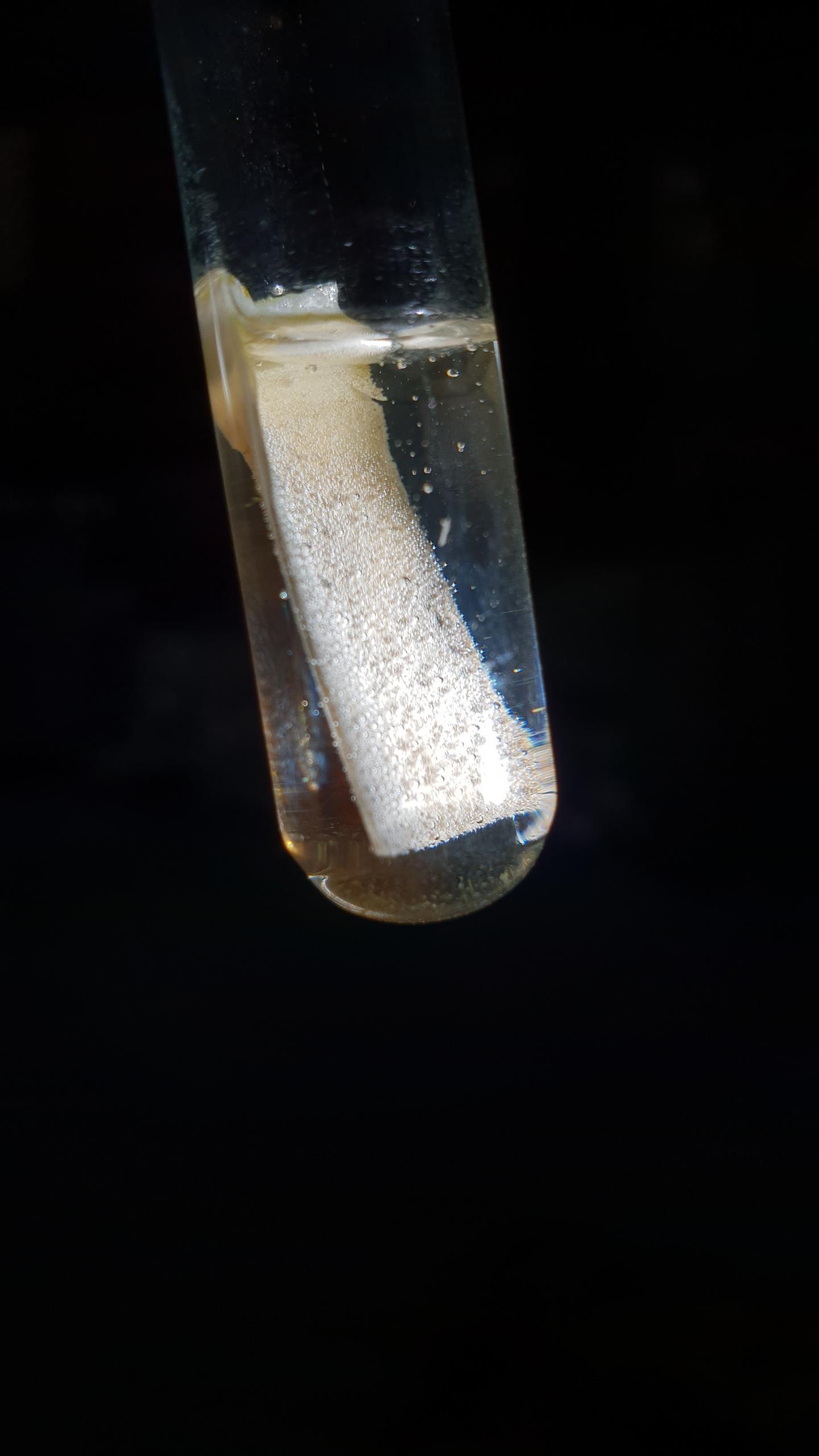 Using sunlight to turn COVID waste into hydrogen fuel