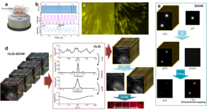 Principle and flowchart of OLID-SDOM