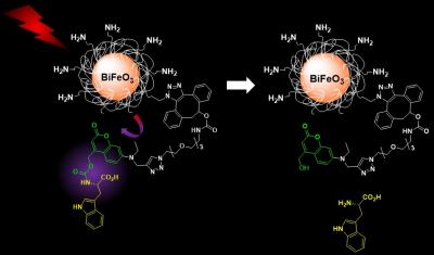 Near-Infrared Excitation of Functionalized Nanoparticles