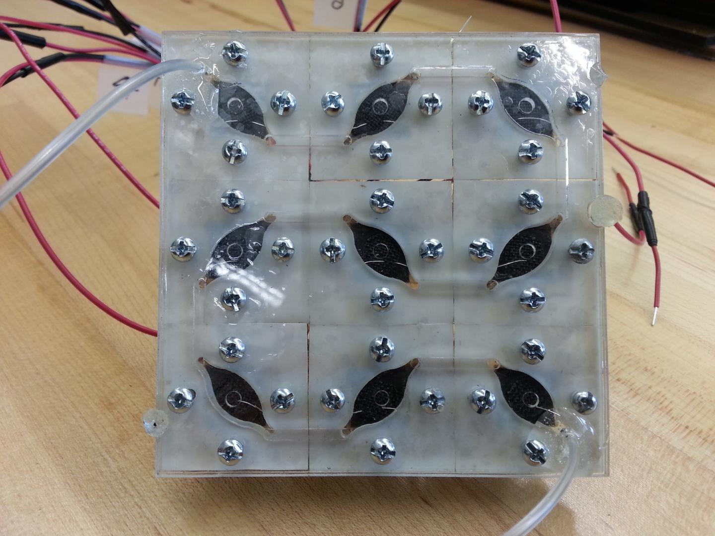 Bacteria-Powered Solar Panel