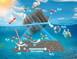 Structural and Functional Overview of Zn-GaN Catalyst