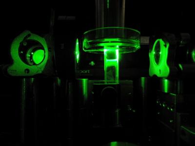 Seeing Inside Tissue