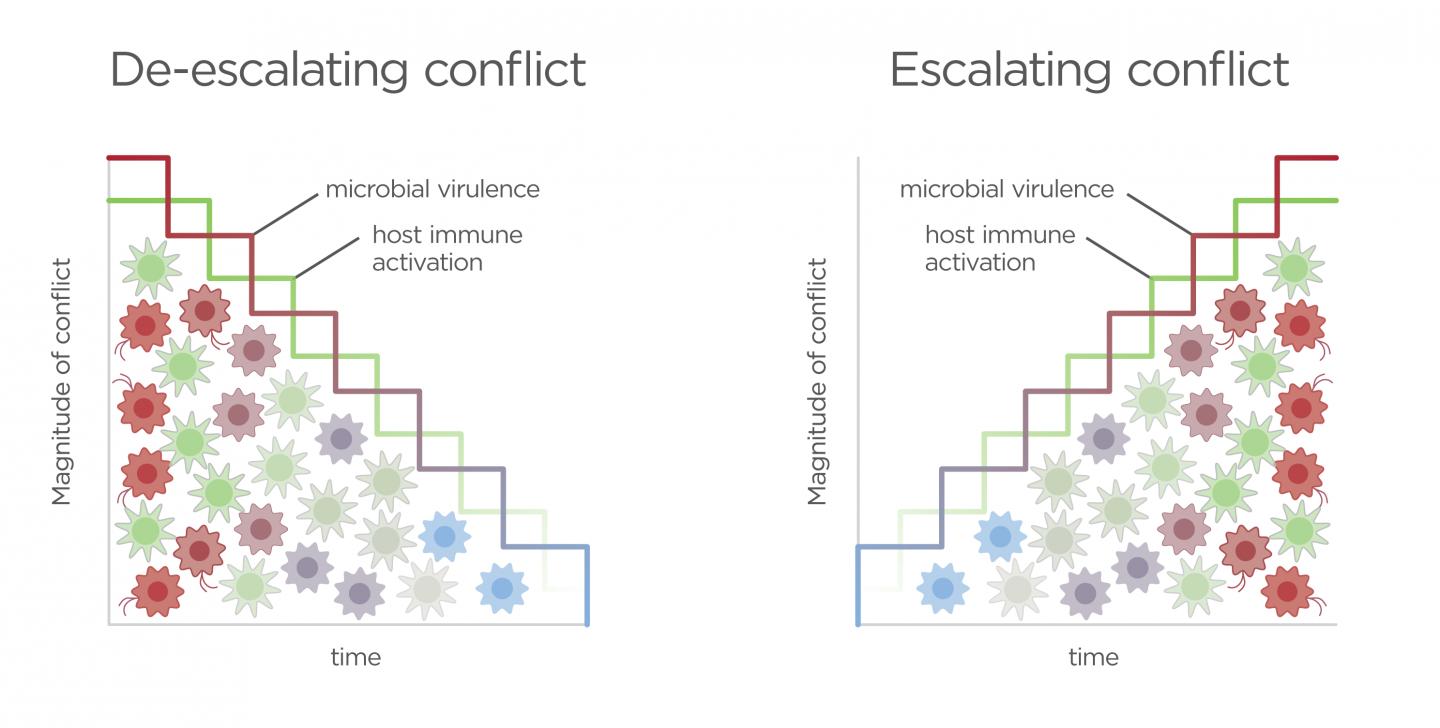 Host and Microbiota Conflict